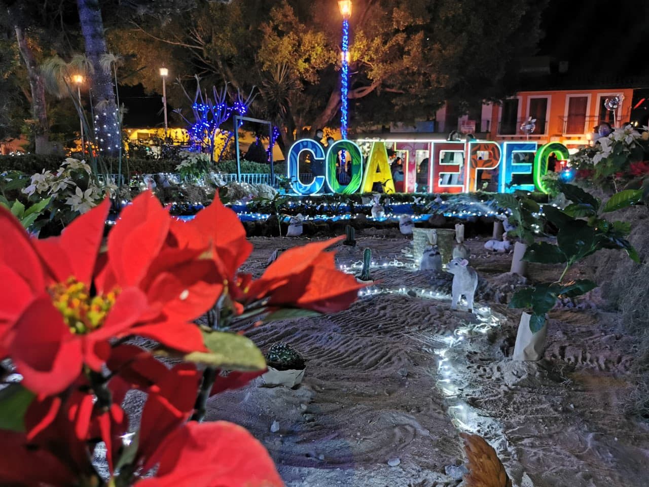Navidad en Coatepec: Tradiciones, sabores y celebraciones en el Pueblo Mágico de Veracruz