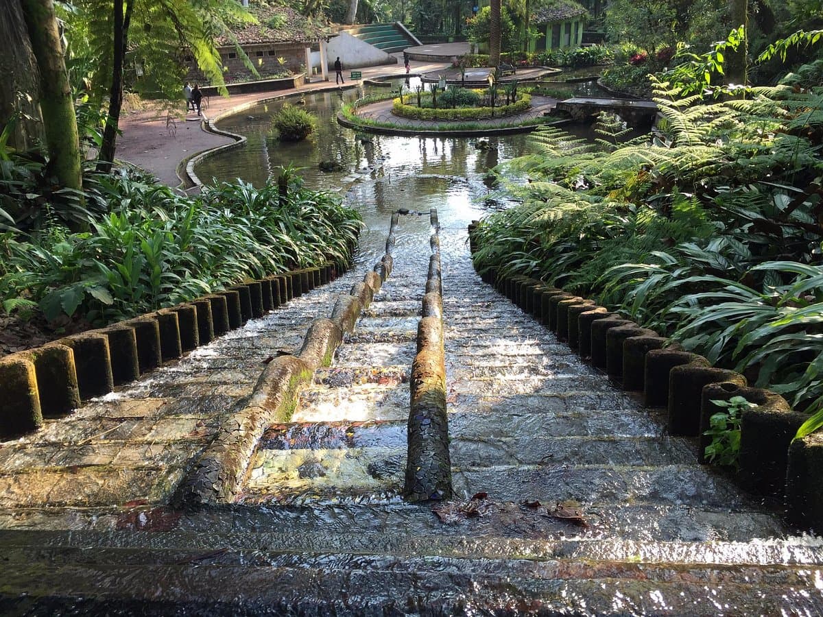 Aventuras en cenotes y grutas cerca de Coatepec, Veracruz