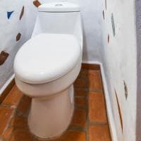 Estandar Queen imagen 2